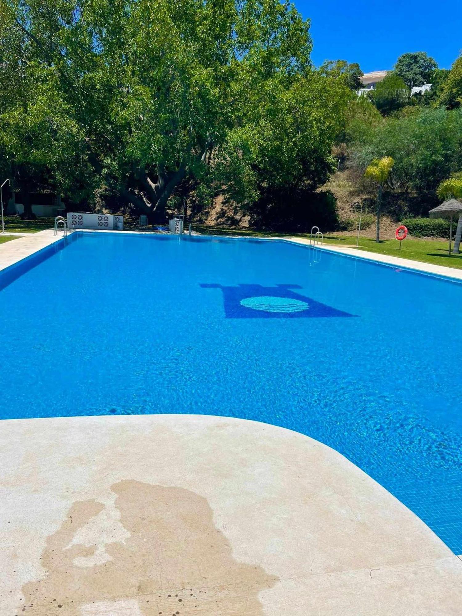 La Villa Escondida 1 Precioso Estudio Vista Al Mar Málaga Exterior foto
